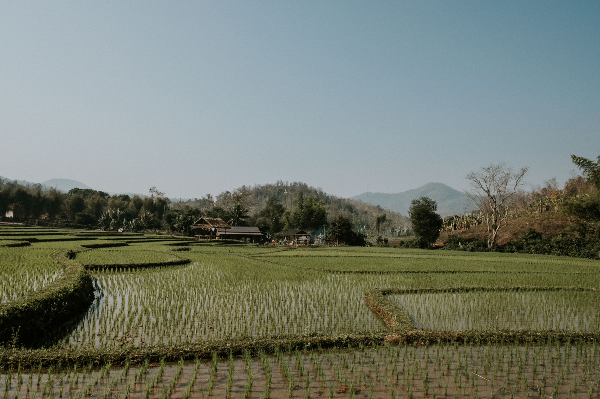 photographe sociale laos luang prabanag