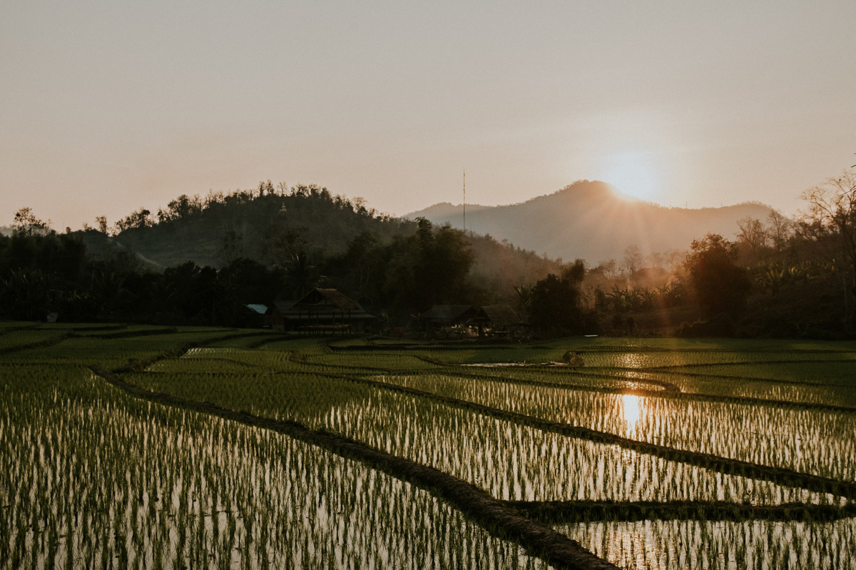 photographe sociale laos luang prabanag